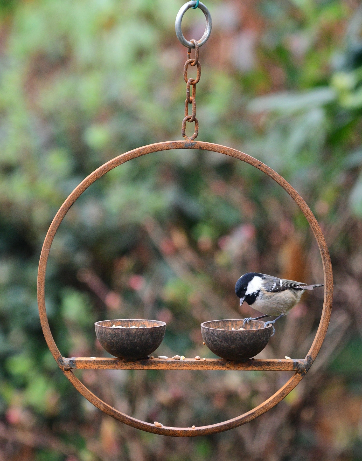 Double Hanging Bird Feeder Ring