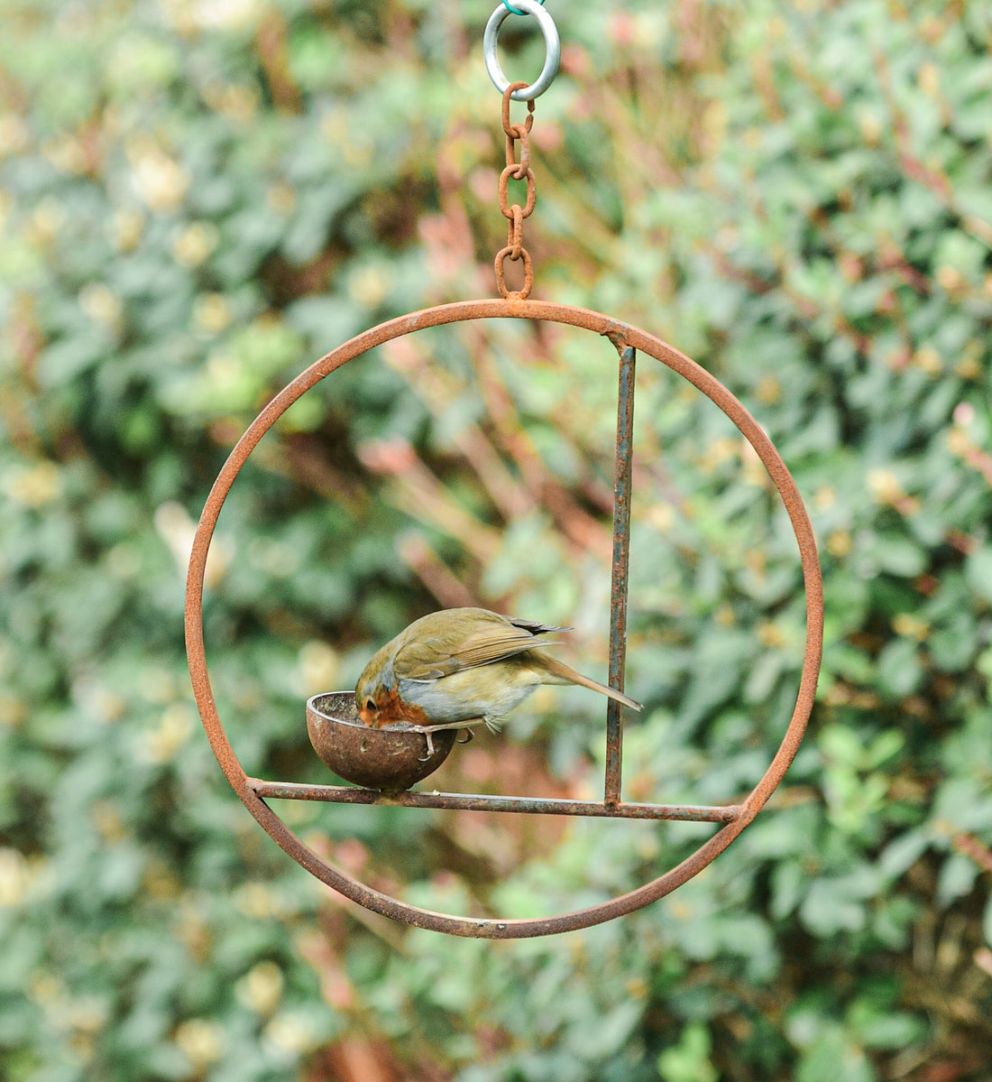 Rusty Metal Abstract Hanging Bird Feeder