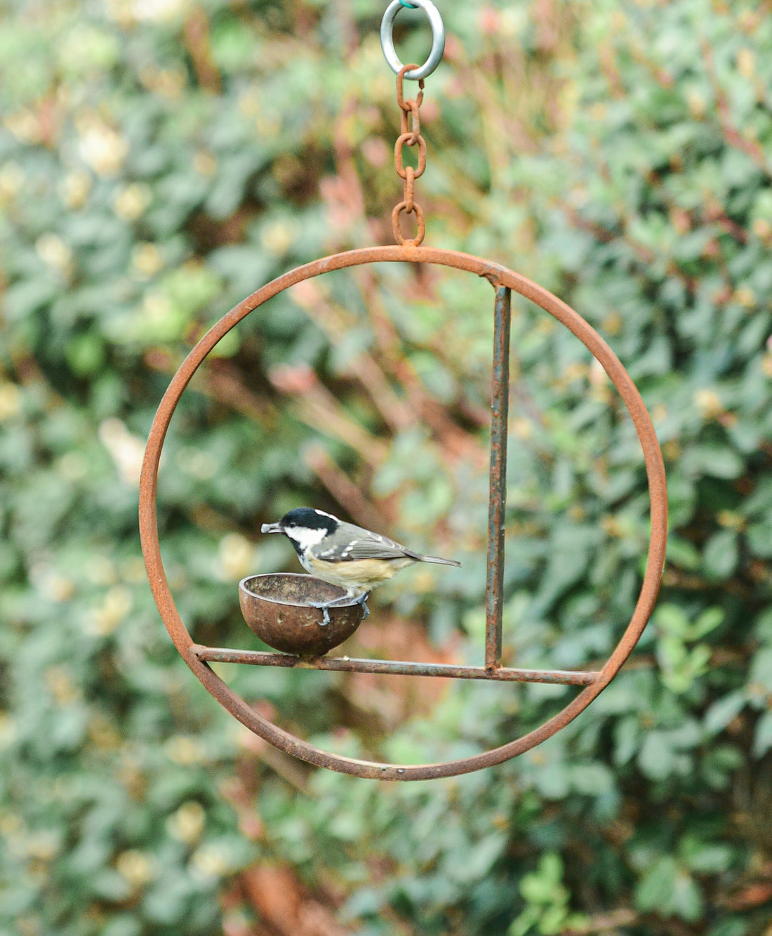 Rusty Metal Abstract Hanging Bird Feeder