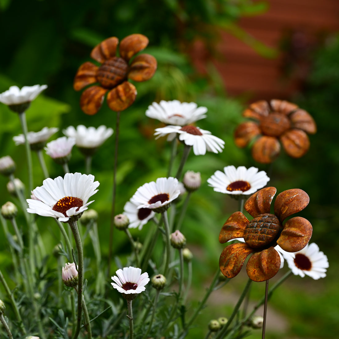 Rusty Metal Daisy