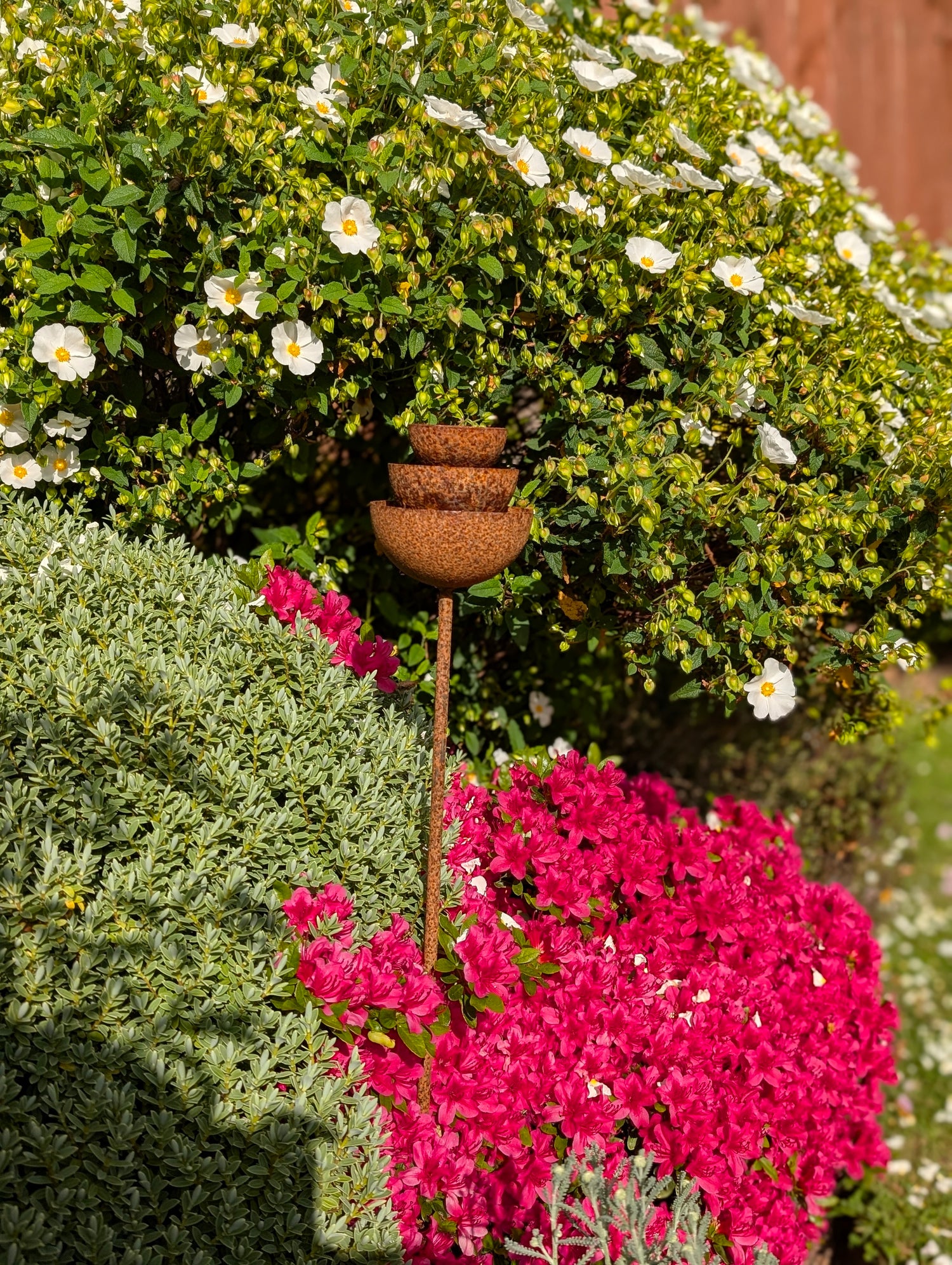 Rain Catcher Fountain