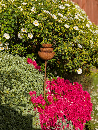 Rain Catcher Fountain