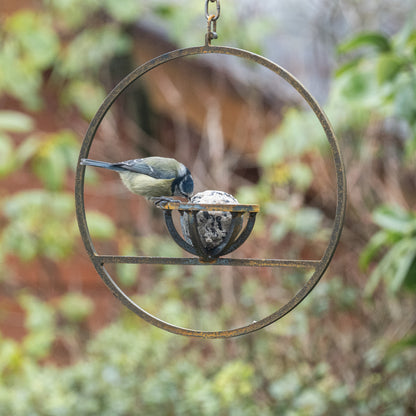 Hanging Fat Ball Feeder