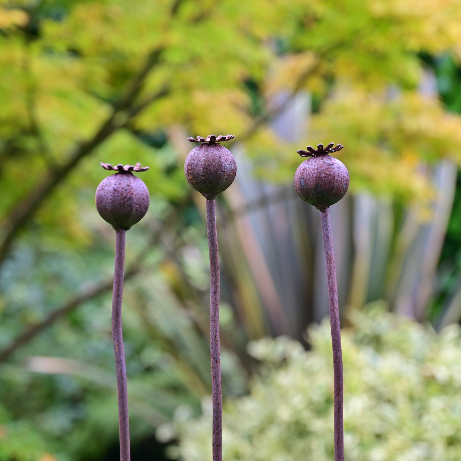 poppy seed head garden stakes Wavy Poppy Seedhead Garden Ornament