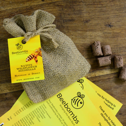 Bee Bombs – 1 Pack of Native Wildflower Seed Bee Bombs for Bees