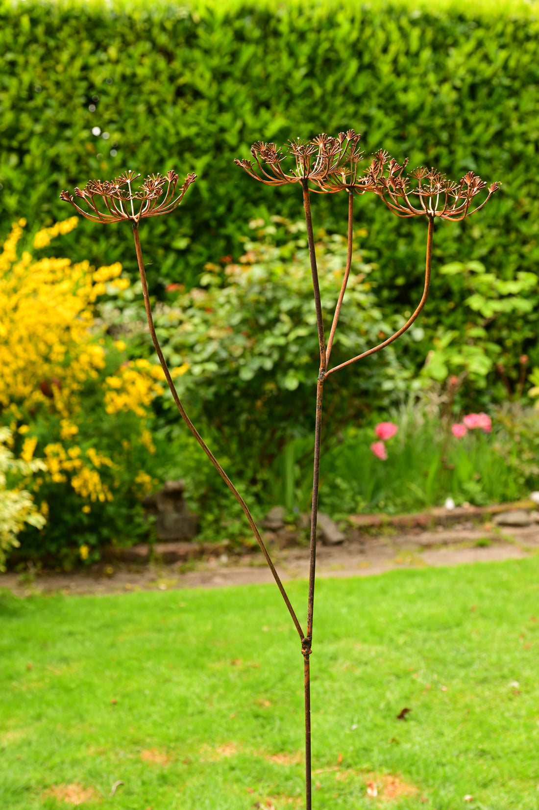 Rusty Metal Cow Parsley