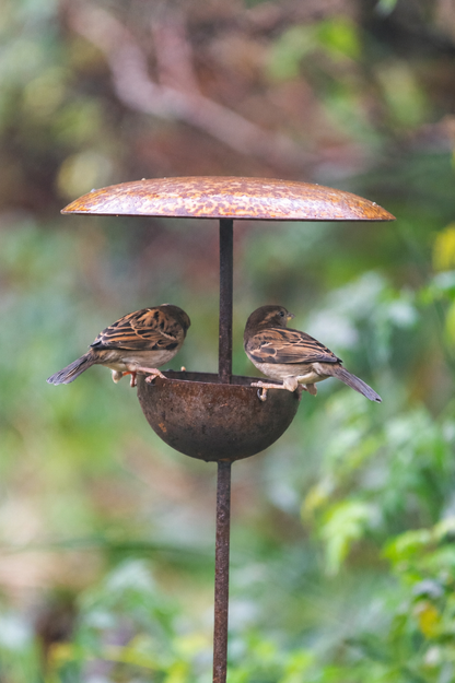 Rusty Metal Bird Feeding Stake