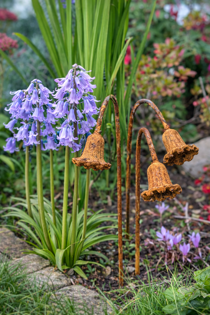Metal Bluebells Garden Sculptures - Rusty Metal Garden Flowers