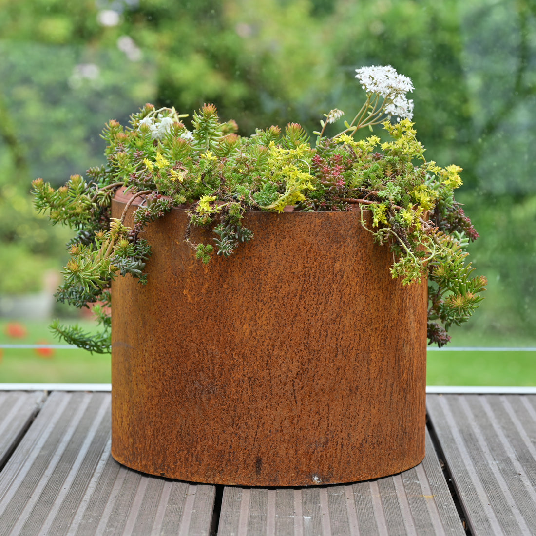 rusty metal plant pot