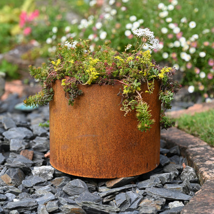 rusty plant pot  5L