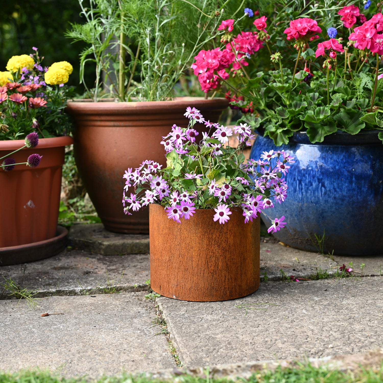 rust coloured plant pots Rusty Plant Pots