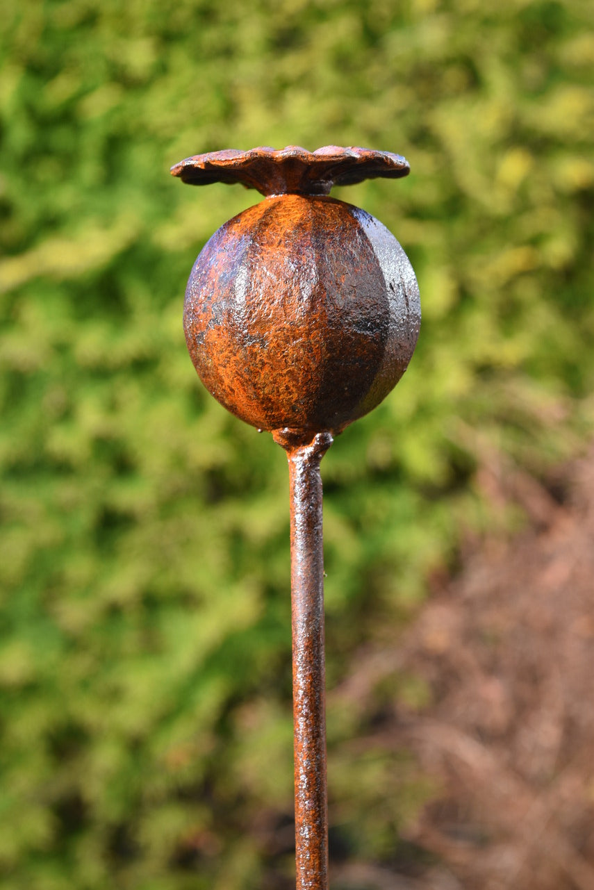 Metal Poppy Seedhead Sculpture