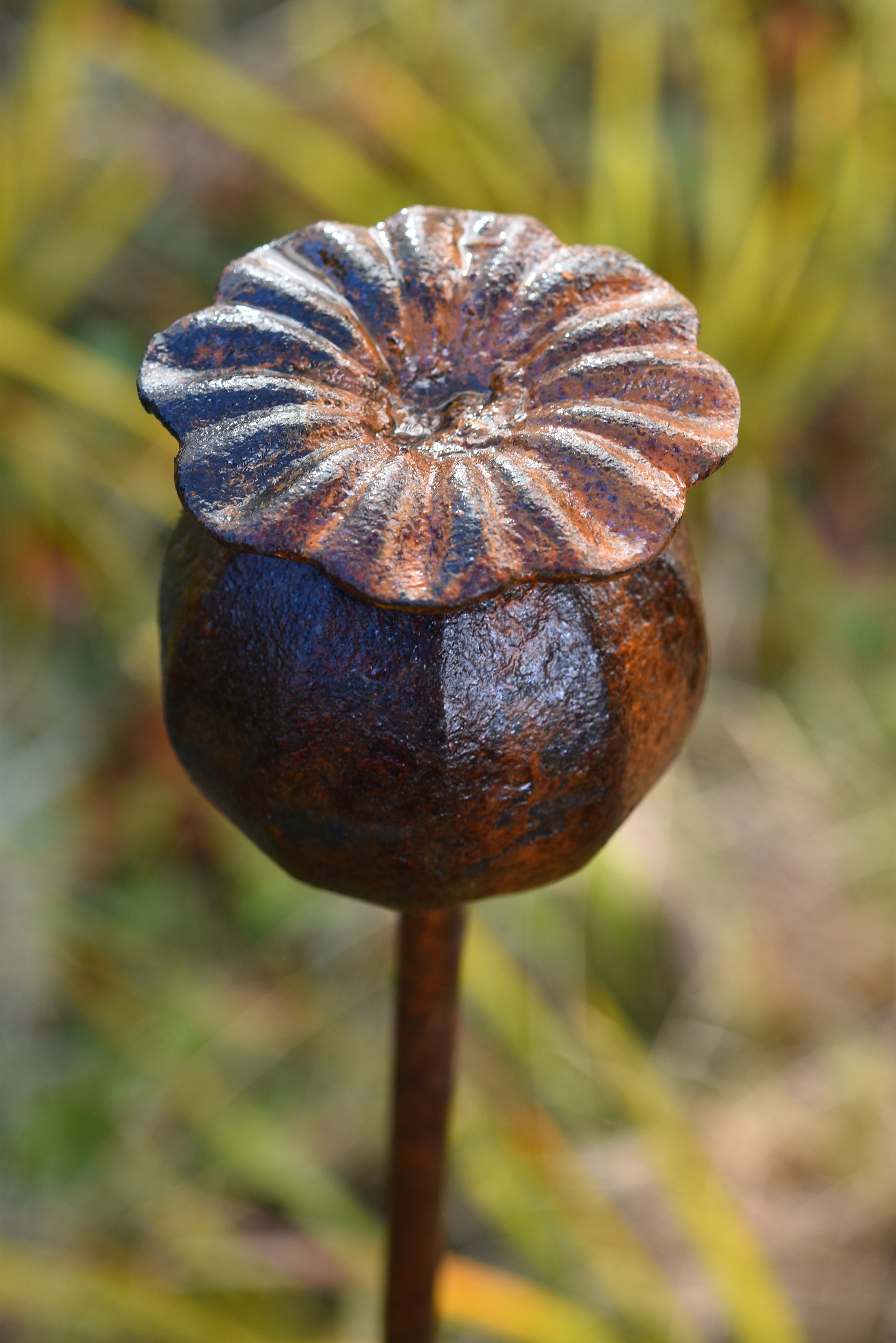 Metal Poppy Seedhead Sculpture