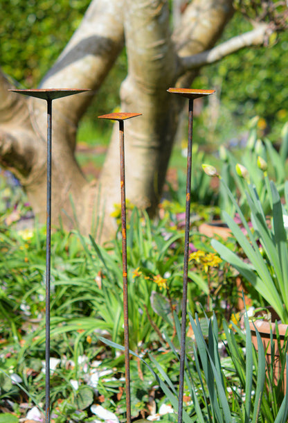 Square Rain Catchers