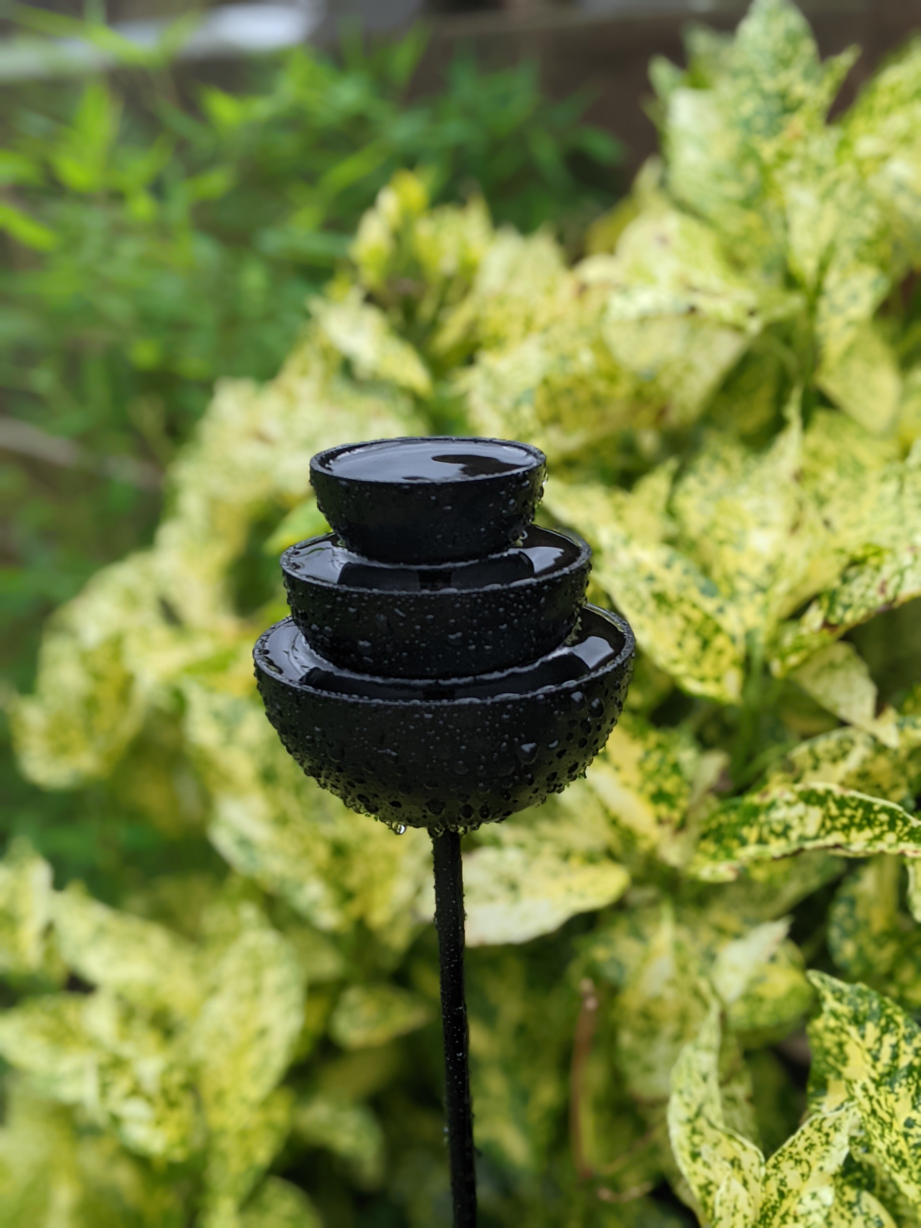 Black Rain Catcher Fountain