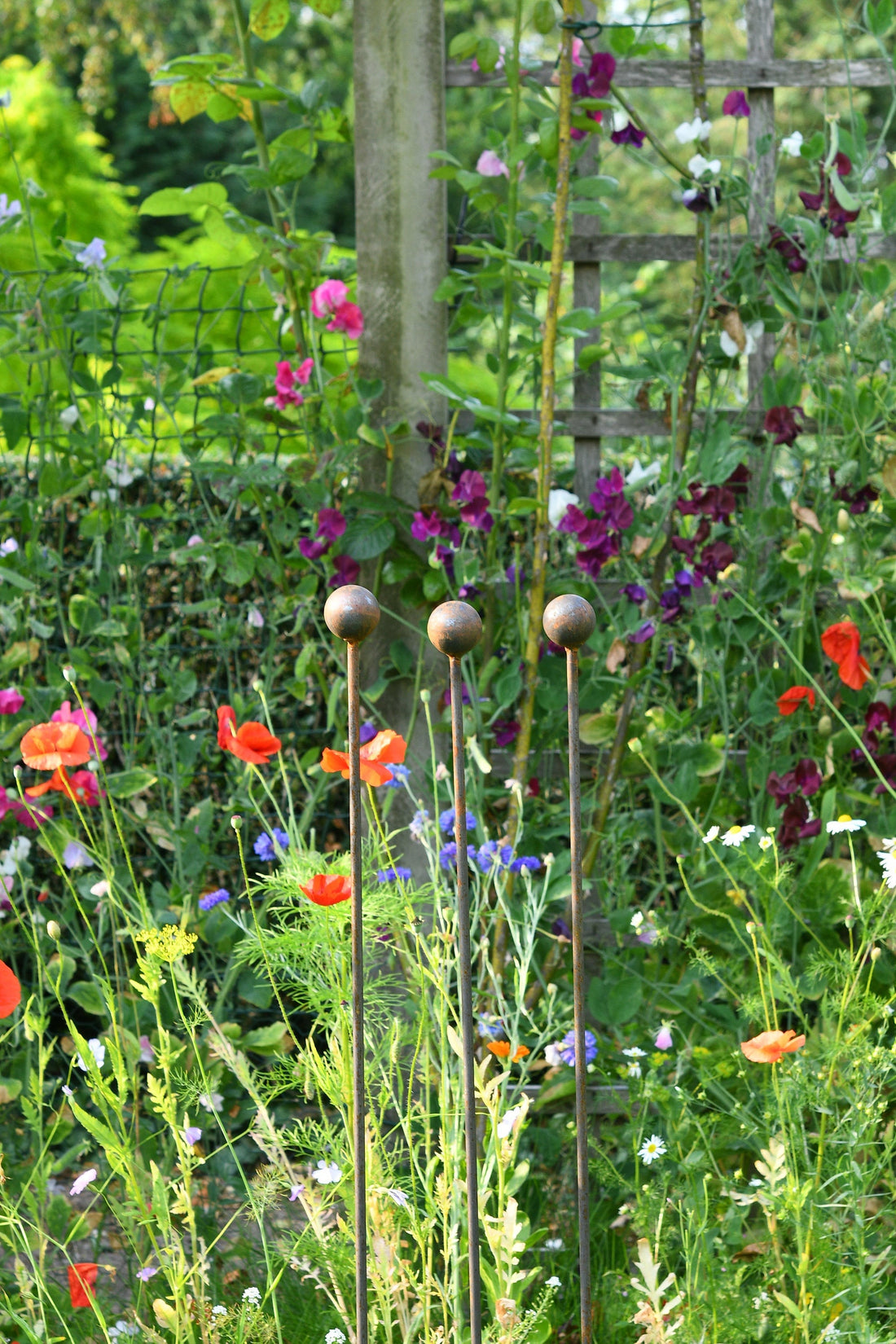 Plant Support Stakes