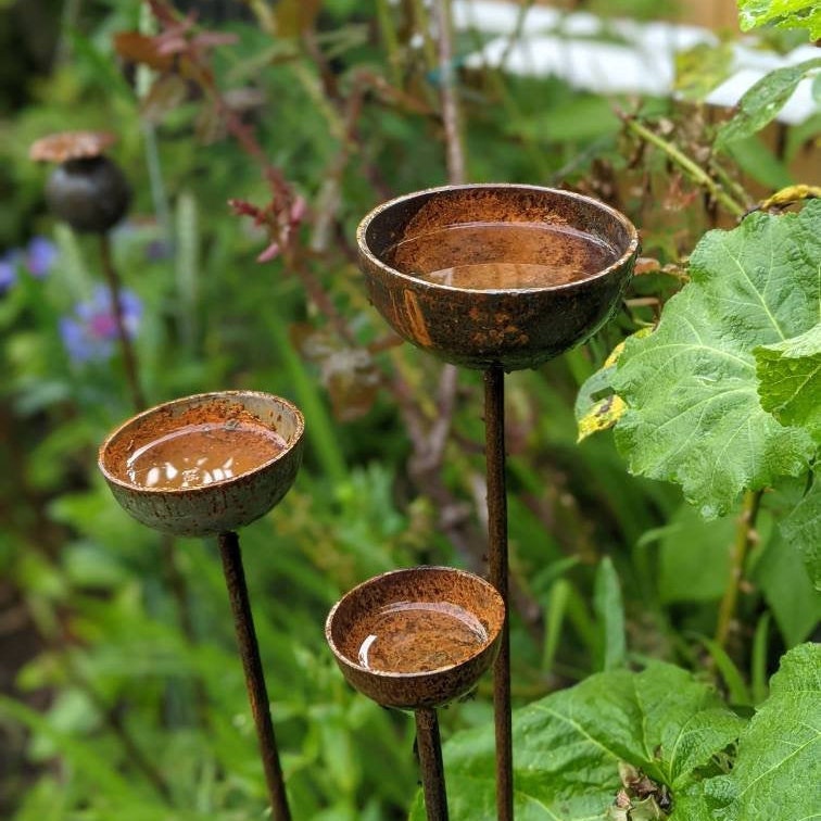 Rain Catcher | Plant Support | Rusts with Rain.
