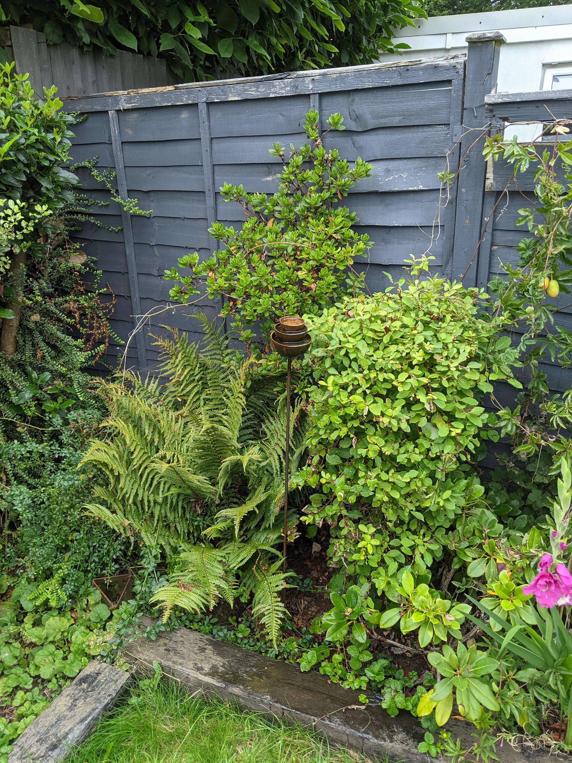 Rain Catcher Fountain | Plant Support | Rusts with Rain.