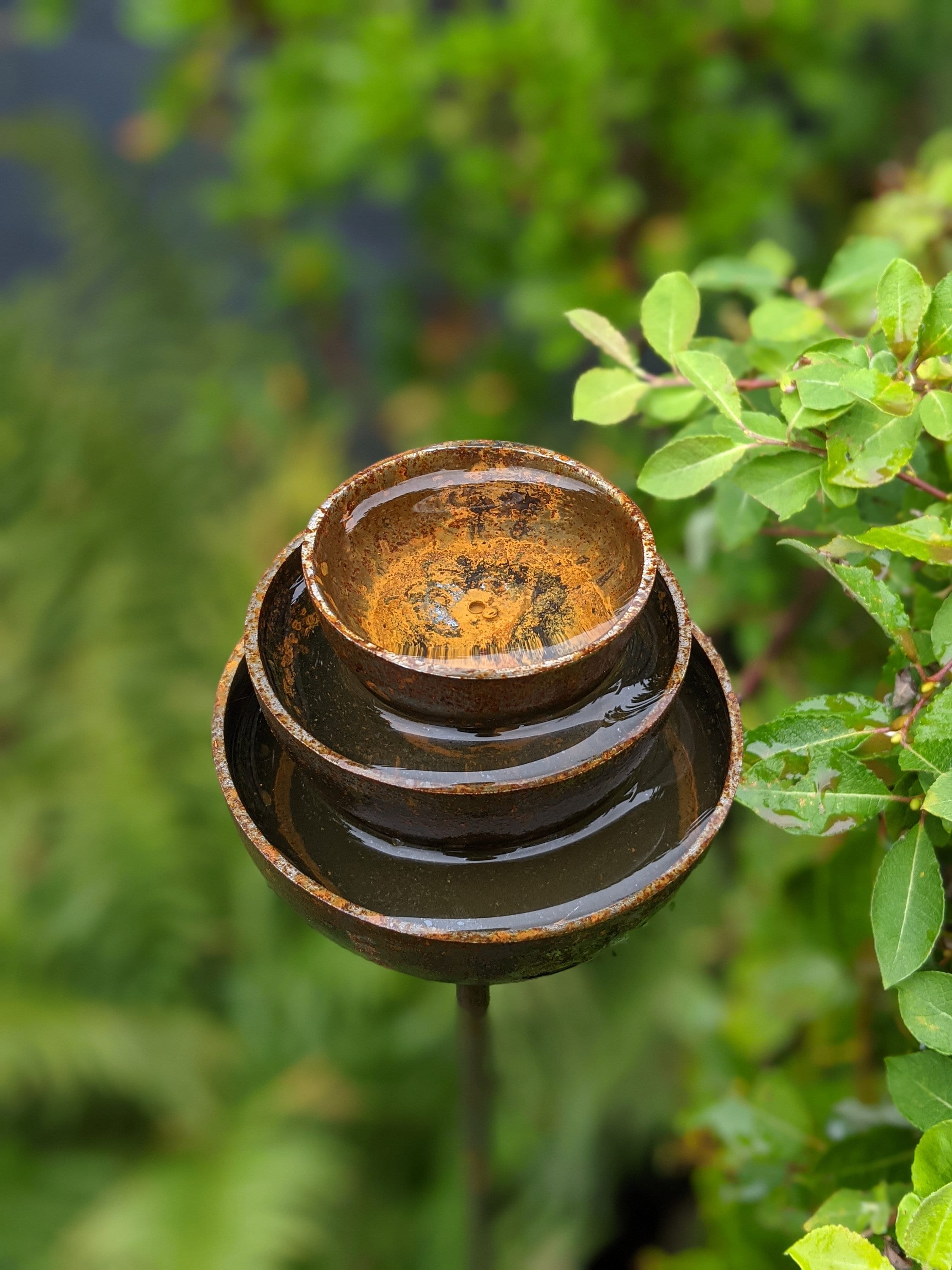 Rain Catcher Fountain | Plant Support | Rusts with Rain.