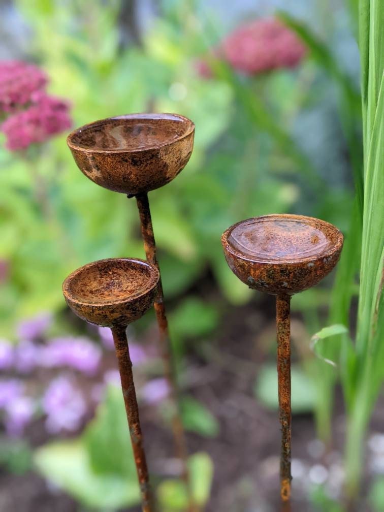 Small Rain Catchers | Rain Catcher Trio | Rusts with Rain.