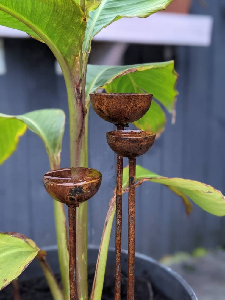 Small Rain Catchers | Rain Catcher Trio | Rusts with Rain.