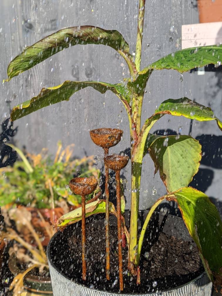 Small Rain Catchers | Rain Catcher Trio | Rusts with Rain.