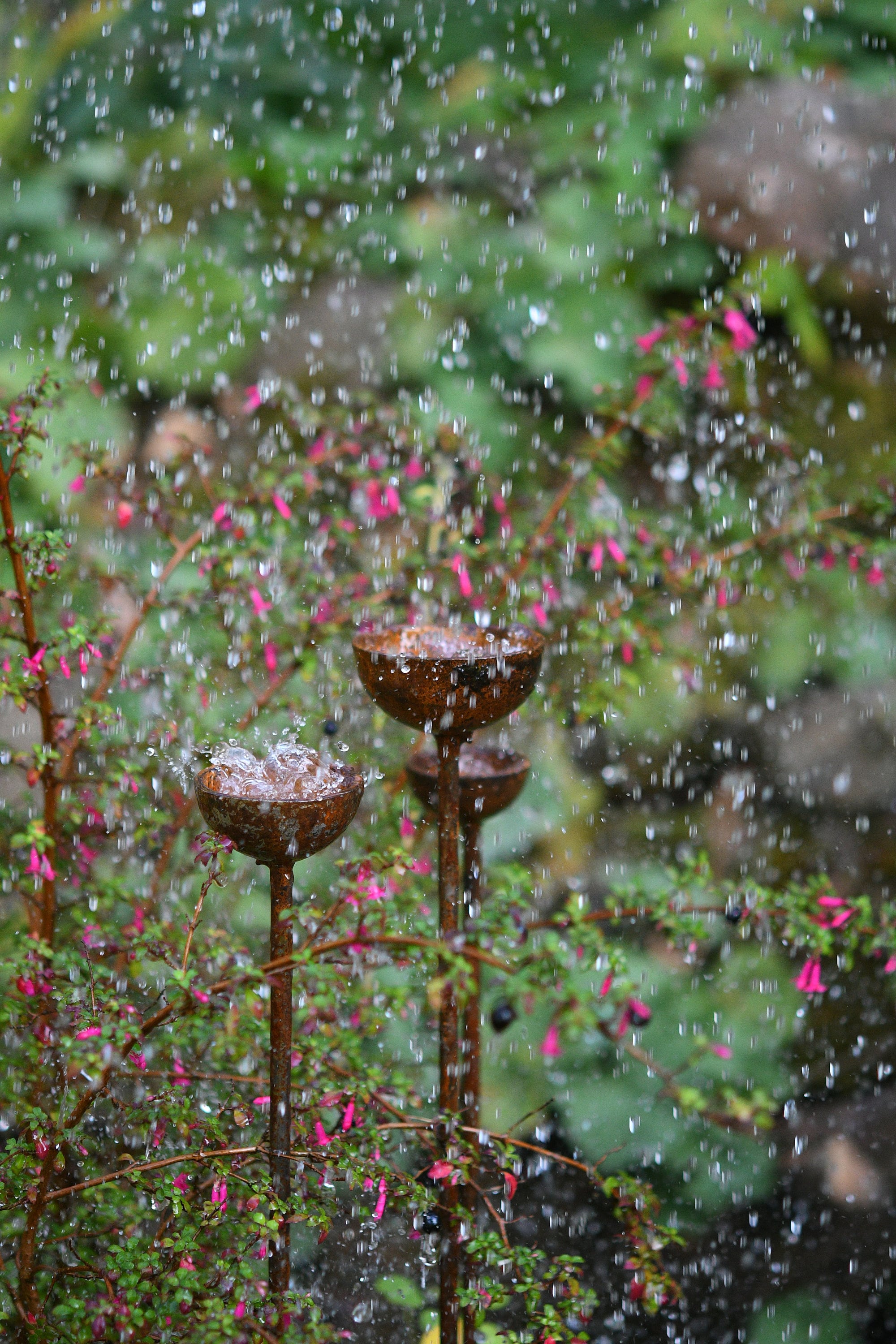 Small Rain Catchers | Rain Catcher Trio | Rusts with Rain.