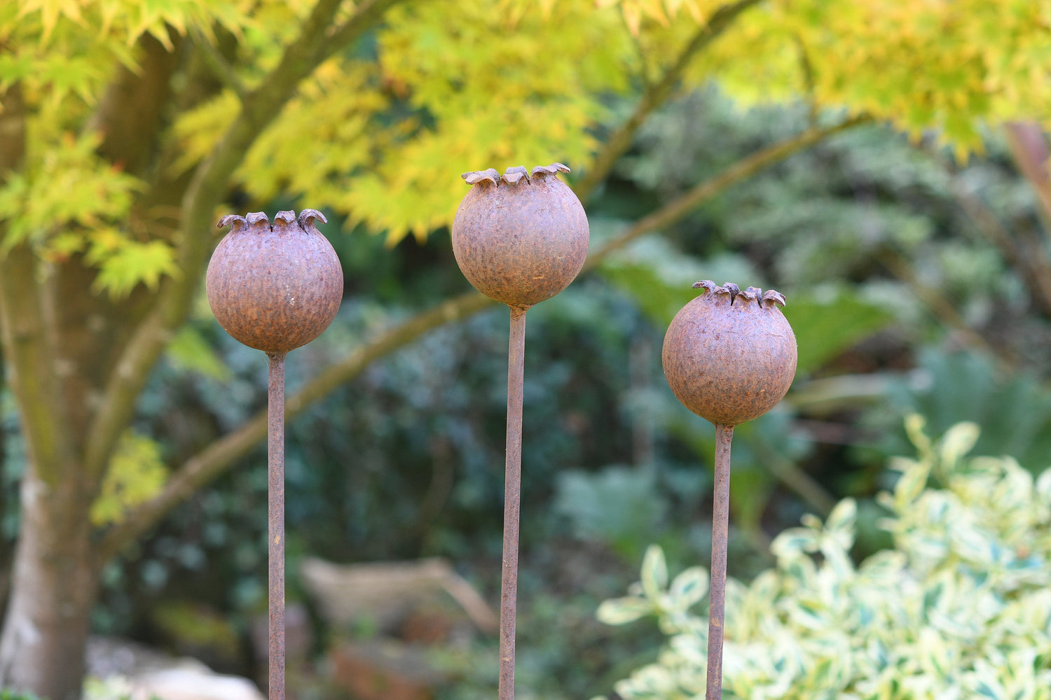 Rusty Metal Poppy Seedhead - Metal Garden Flower Sculpture - Garden Decor