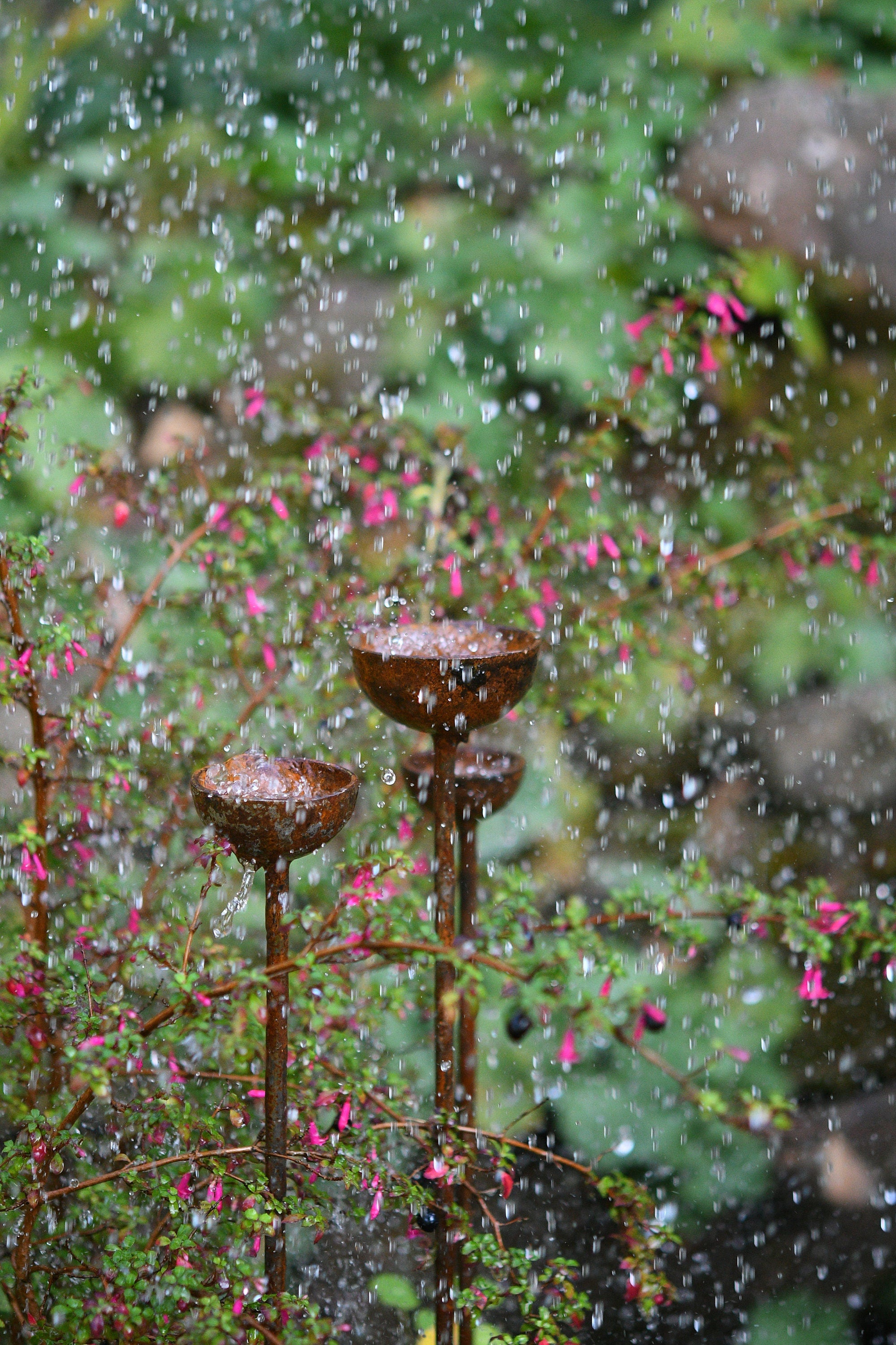 Rain Catcher Bundle | Rain Catcher Trio | Rustic Garden Gift