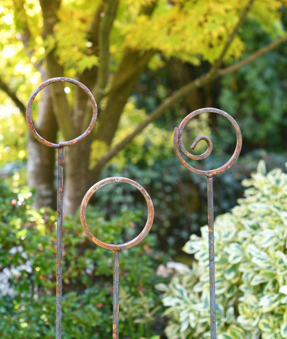 Garden Sculpture Ring Bundle | Rusts with Rain
