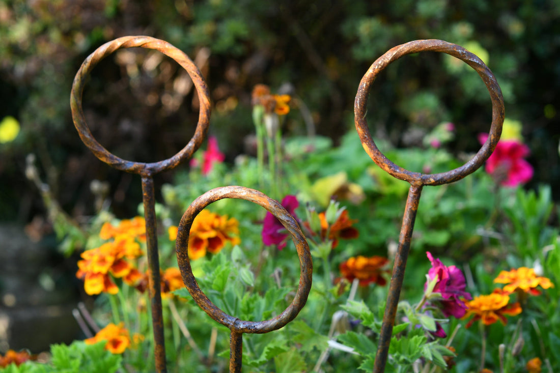Twisted Ring Garden Stakes | Rusts with Rain.
